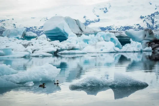 Jökulsárlón gletsjertrip per zodiac